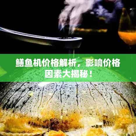 鳝鱼机价格解析,影响价格因素大揭秘!