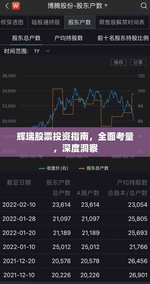 辉瑞股票投资指南，全面考量，深度洞察