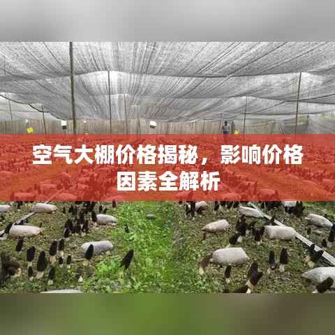 空气大棚价格揭秘,影响价格因素全解析