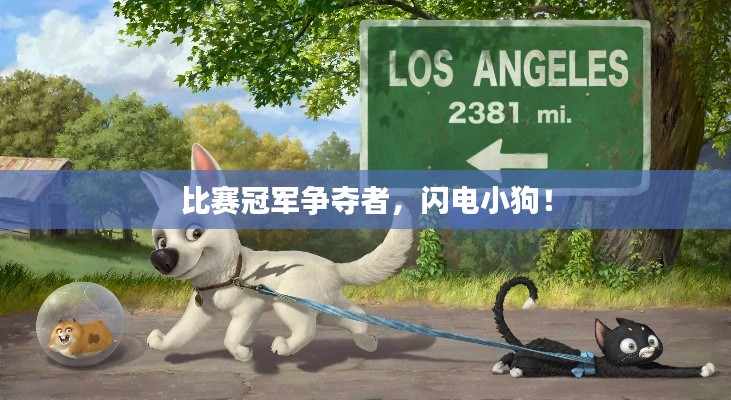 比赛冠军争夺者,闪电小狗!