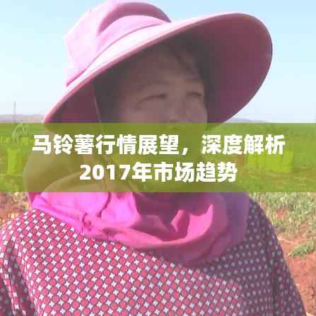 马铃薯行情展望,深度解析2017年市场趋势