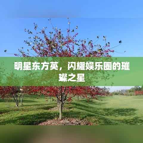 明星东方英,闪耀娱乐圈的璀璨之星