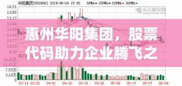 惠州华阳集团,股票代码助力企业腾飞之路