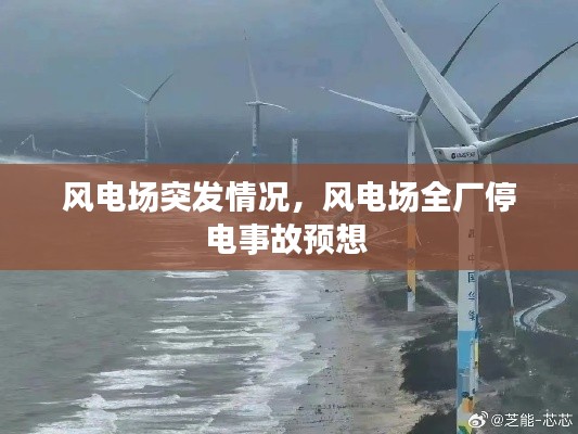 择善而从 第5页