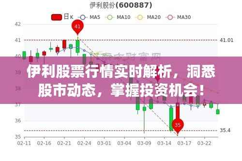 伊利股票行情实时解析,洞悉股市动态,掌握投资机会!