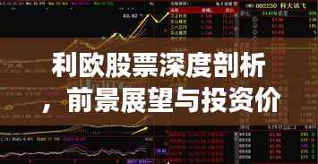 利欧股票深度剖析，前景展望与投资价值探究