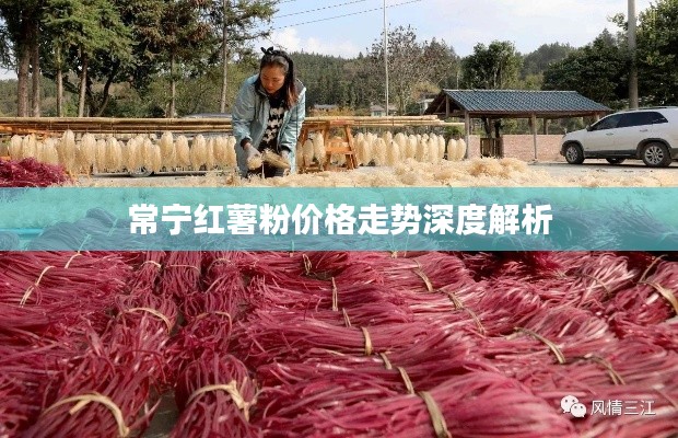 常宁红薯粉价格走势深度解析