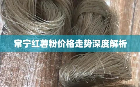 常宁红薯粉价格走势深度解析