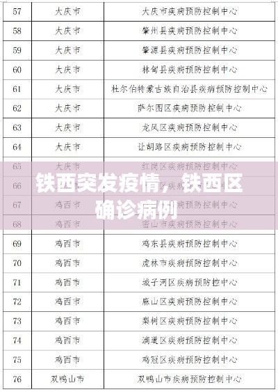 铁西突发疫情,铁西区确诊病例