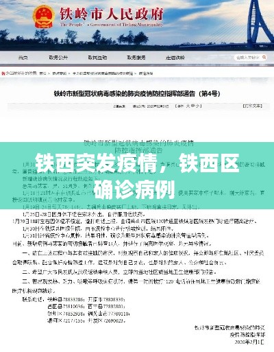 铁西突发疫情,铁西区确诊病例