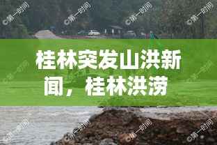 桂林突发山洪新闻,桂林洪涝