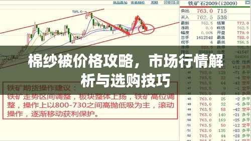 棉纱被价格攻略,市场行情解析与选购技巧
