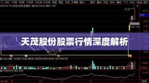 天茂股份股票行情深度解析