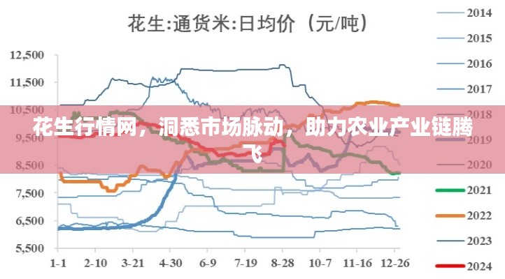 花生行情网,洞悉市场脉动,助力农业产业链腾飞