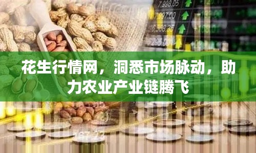 花生行情网,洞悉市场脉动,助力农业产业链腾飞