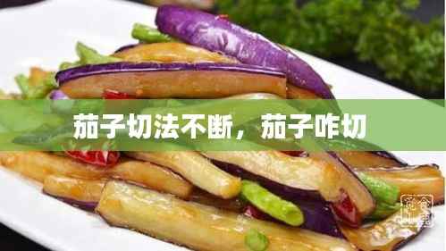 茄子切法不断,茄子咋切