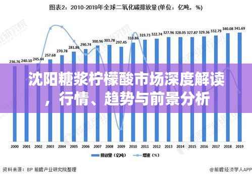 沈阳糖浆柠檬酸市场深度解读,行情、趋势与前景分析