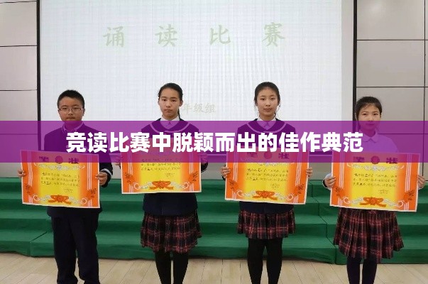 竞读比赛中脱颖而出的佳作典范