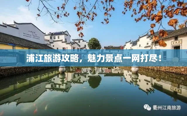 浦江旅游攻略,魅力景点一网打尽!