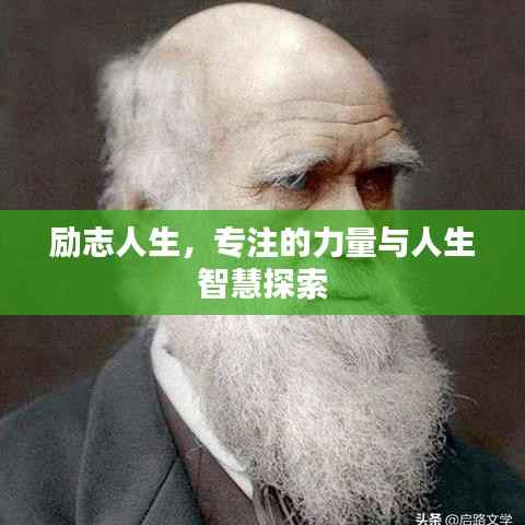 励志人生,专注的力量与人生智慧探索