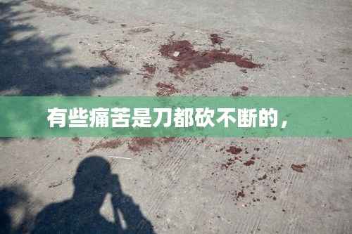 有些痛苦是刀都砍不断的,