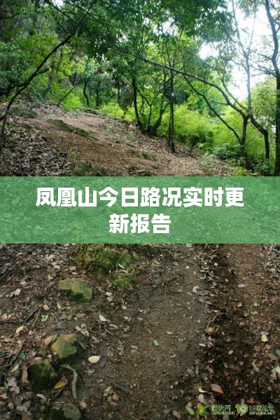 凤凰山今日路况实时更新报告