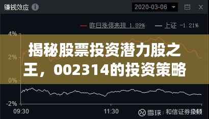 揭秘股票投资潜力股之王,002314的投资策略与风险控制揭秘。