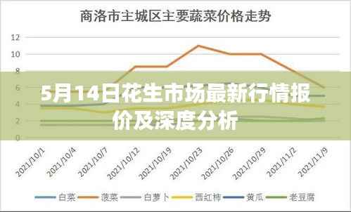 5月14日花生市场最新行情报价及深度分析