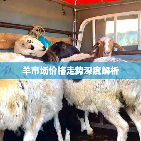 贵人多忘事 第5页