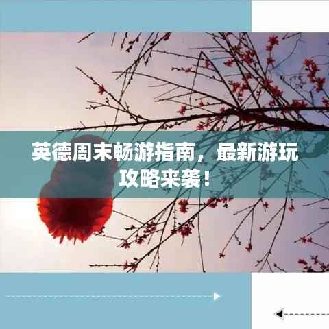 英德周末畅游指南,最新游玩攻略来袭!