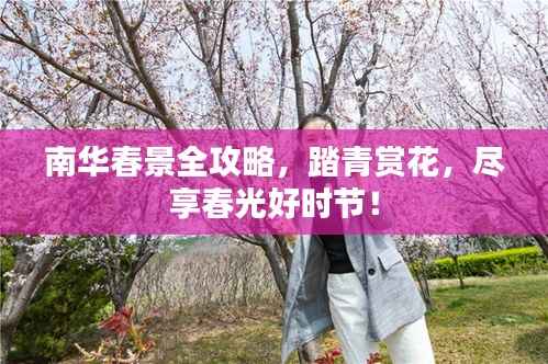 南华春景全攻略，踏青赏花，尽享春光好时节！