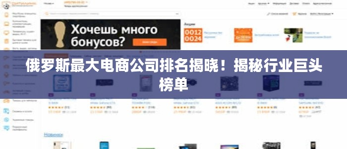 俄罗斯最大电商公司排名揭晓!揭秘行业巨头榜单