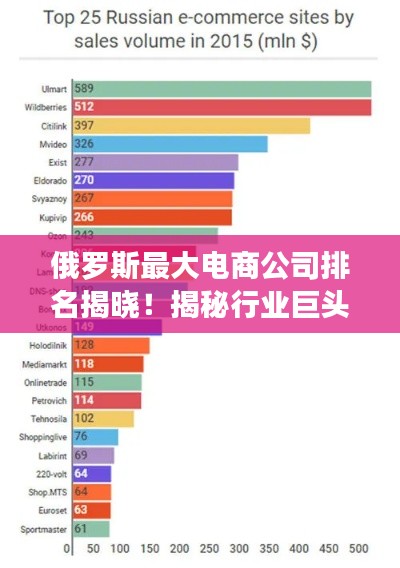 俄罗斯最大电商公司排名揭晓!揭秘行业巨头榜单