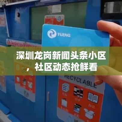 深圳龙岗新闻头条小区，社区动态抢鲜看