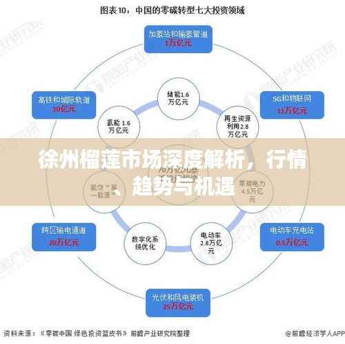 徐州榴莲市场深度解析,行情、趋势与机遇