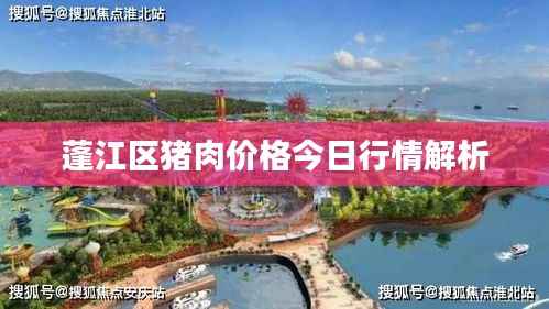蓬江区猪肉价格今日行情解析