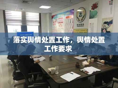 落实舆情处置工作,舆情处置工作要求