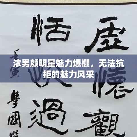 浓男颜明星魅力爆棚,无法抗拒的魅力风采