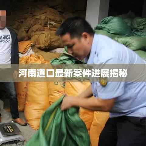 河南道口最新案件进展揭秘
