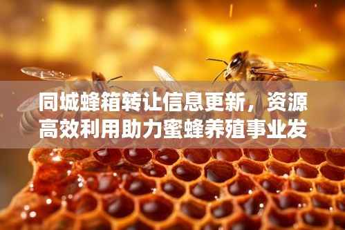 同城蜂箱转让信息更新,资源高效利用助力蜜蜂养殖事业发展