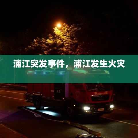 浦江突发事件,浦江发生火灾