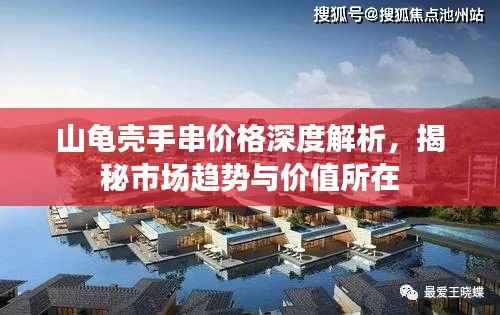 山龟壳手串价格深度解析,揭秘市场趋势与价值所在