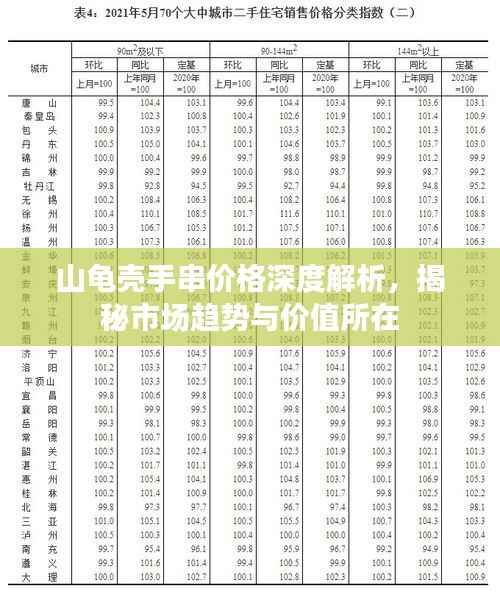 山龟壳手串价格深度解析,揭秘市场趋势与价值所在