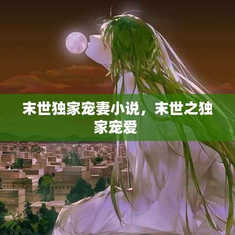 末世独家宠妻小说，末世之独家宠爱 