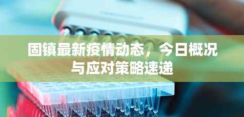 固镇最新疫情动态,今日概况与应对策略速递