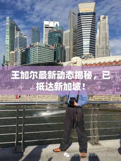王加尔最新动态揭秘，已抵达新加坡！