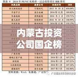 内蒙古投资公司国企榜单揭晓，排名及亮点一网打尽