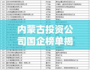 内蒙古投资公司国企榜单揭晓,排名及亮点一网打尽