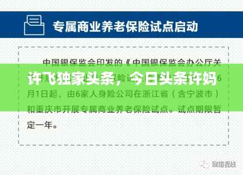 许飞独家头条,今日头条许妈