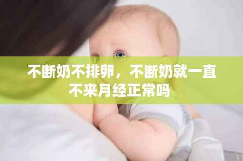 不断奶不排卵,不断奶就一直不来月经正常吗